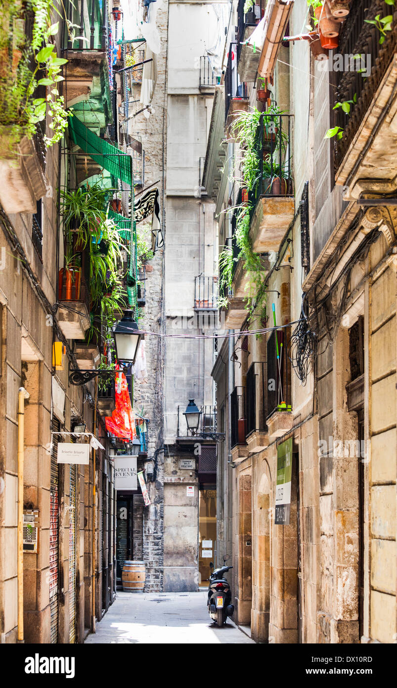 Et pittoresque, pittoresque vieux Barcelone alley avec balcon et paniers de fleurs suspendus, Catalogne, Espagne Banque D'Images