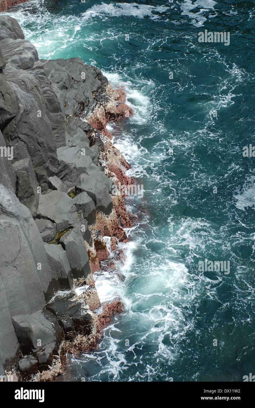 Falaise de roche par la mer, péninsule d'Izu, Shizuoka Prefecture, Japan Banque D'Images