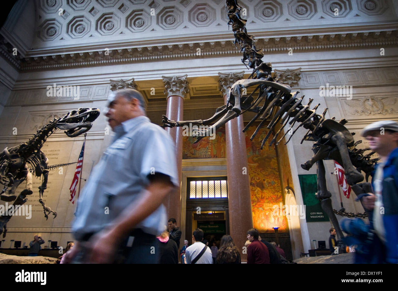 American Museum of Natural History. Central Park West et 79th Street . Les zones qui attirent l'attention sont les trois chambres Banque D'Images