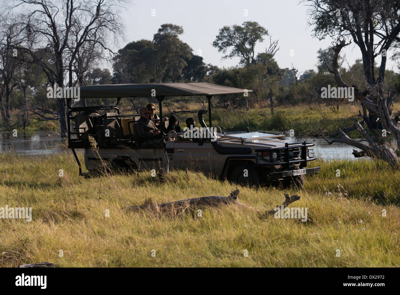 L'un des guides de la 4x4 safaris où sont menées dans le Delta de l'Okavango camp près de Khwai River Lodge by Orient Express Banque D'Images