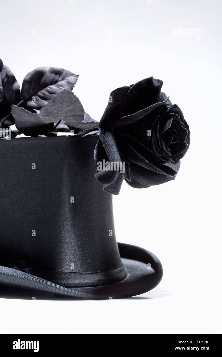 Haut Black Hat et Black Rose - Isolated on White Banque D'Images