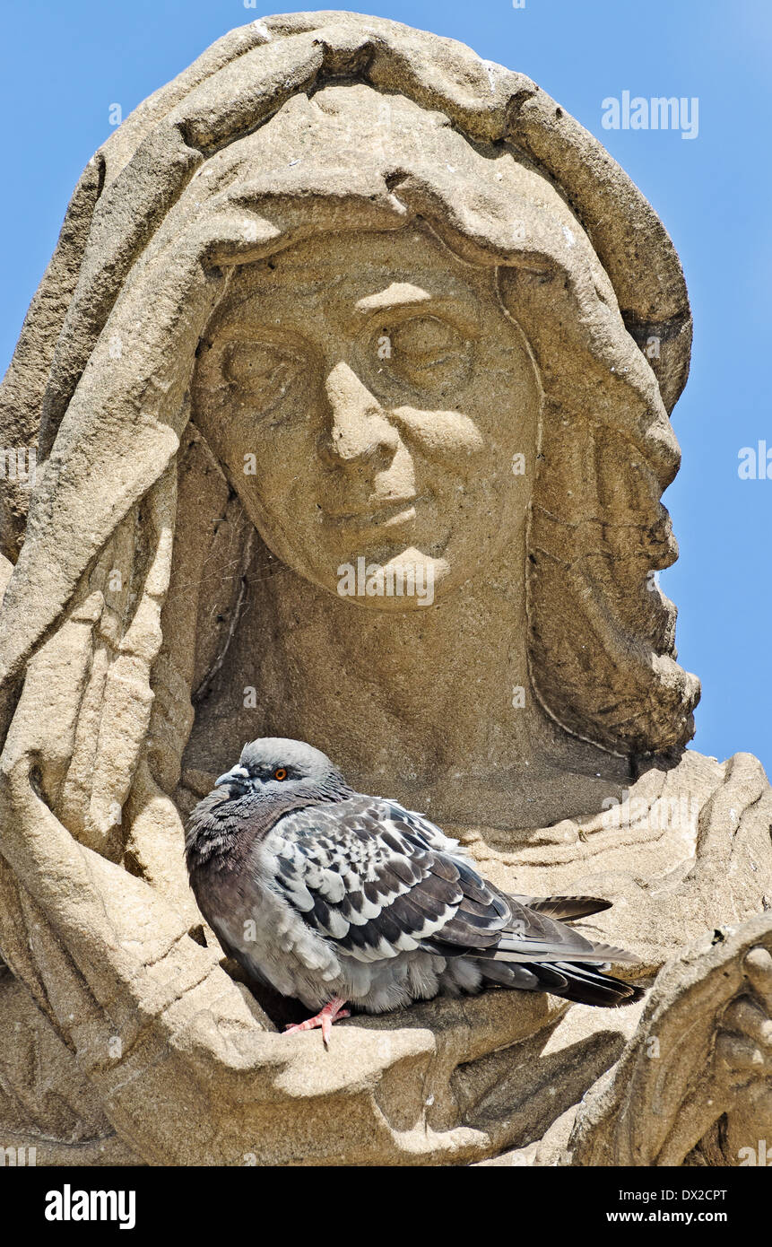 Pigeon se reposant dans un endroit isolé dans les plis des vêtements sculpture. Le Pont Charles, Prague Banque D'Images