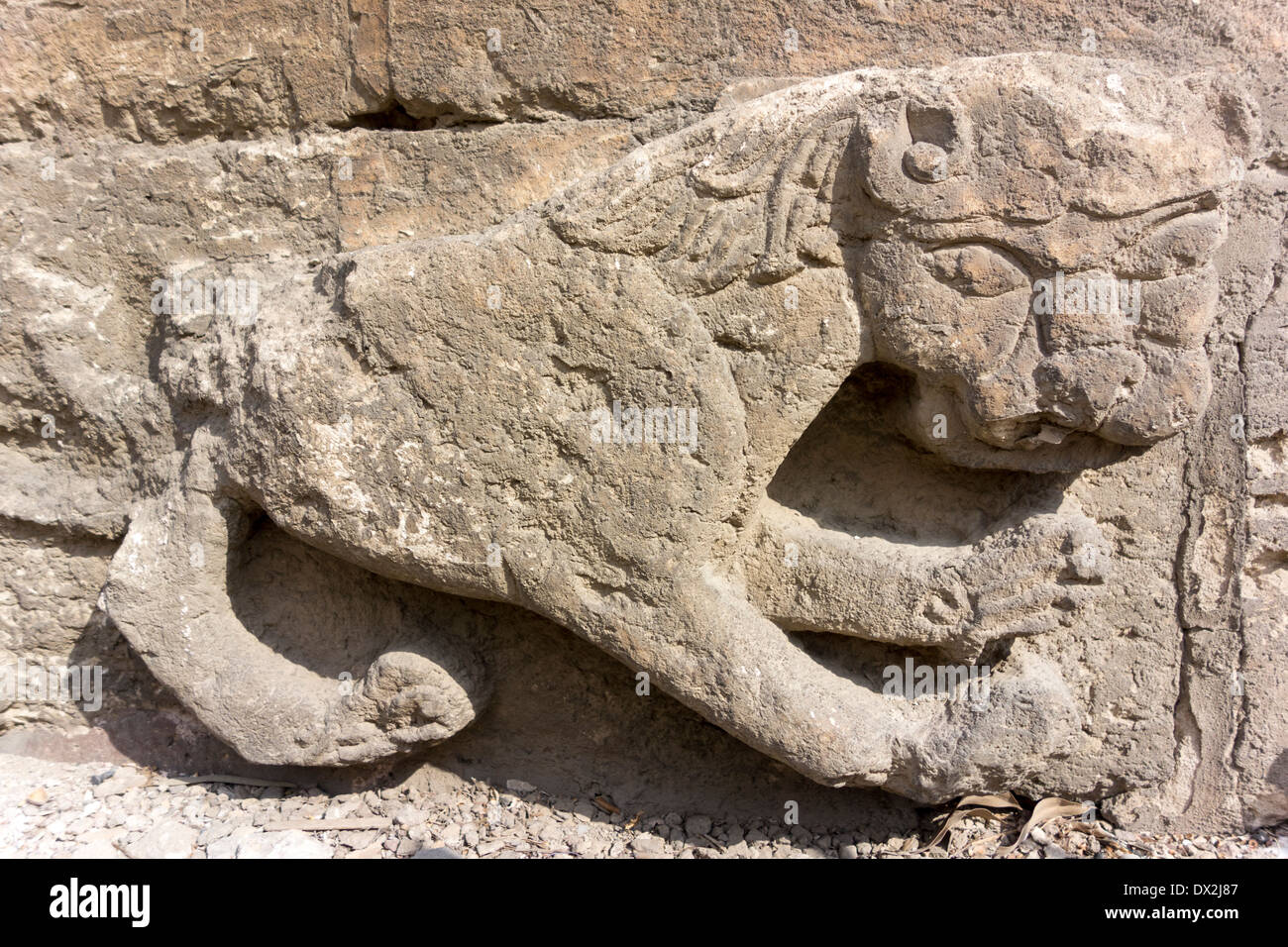Lion sculpté du sultan Baybars sur la Tour des Lions, Citadelle, le Caire, Egypte Banque D'Images