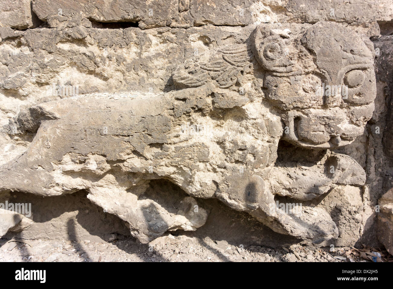 Lion sculpté sur la Tour des Lions, La Citadelle, Le Caire, Egypte Banque D'Images