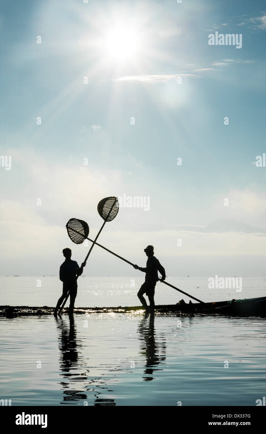 L'homme de la boue et des mauvaises herbes du fond du lac pour construire des jardins flottants au lac Inle. Banque D'Images