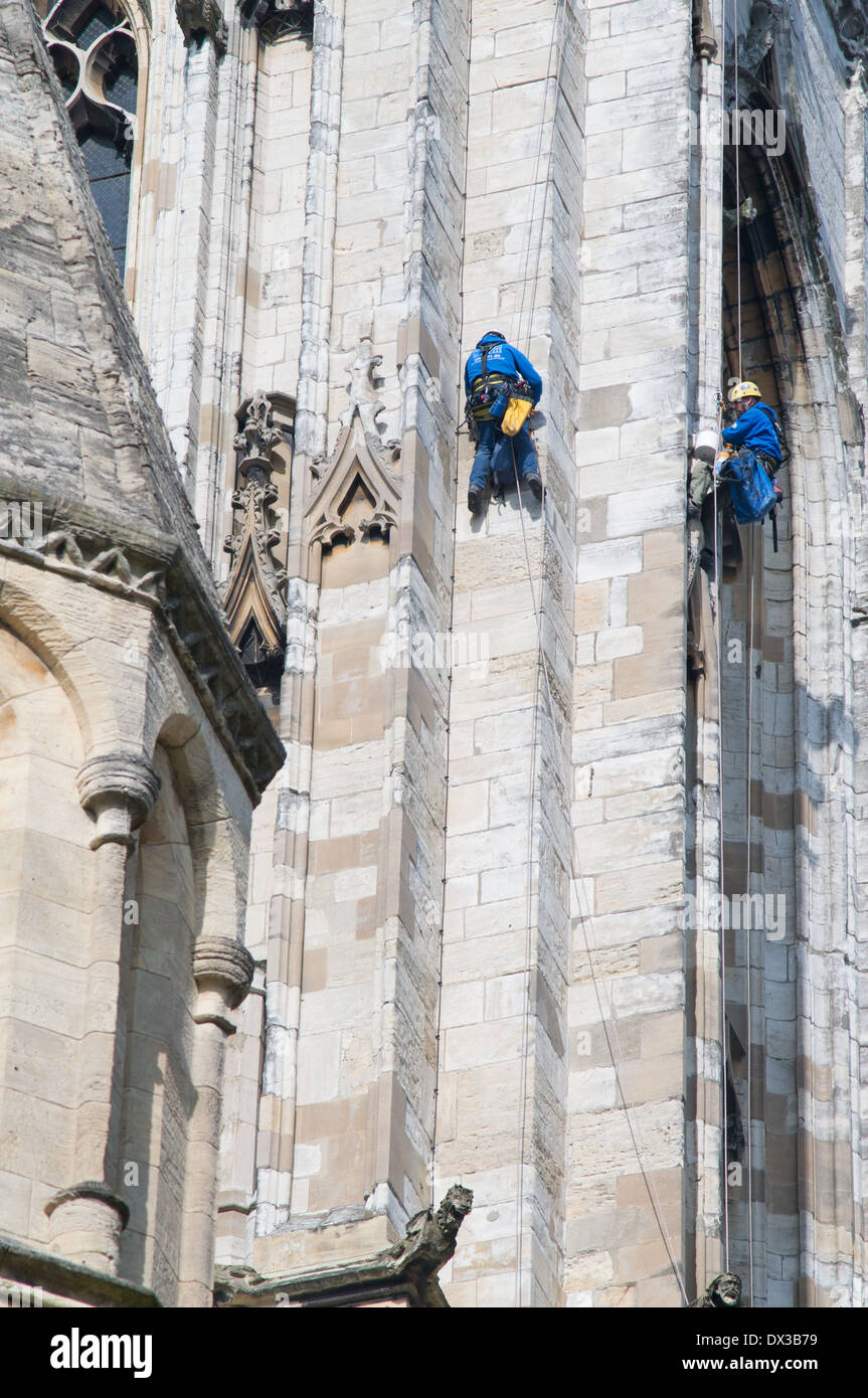 Les maçons de la descente en rappel pour la réparation ou la cathédrale York Minster, England, UK Banque D'Images