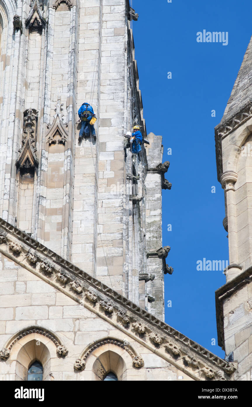Les maçons de la descente en rappel pour la réparation ou la cathédrale York Minster, England, UK Banque D'Images