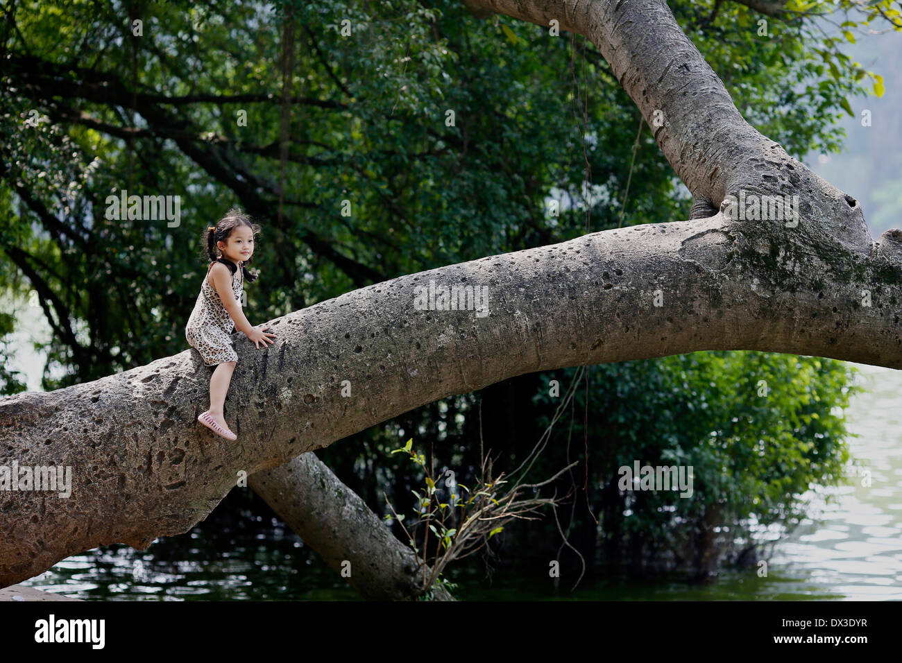 Une jeune fille vietnamienne est assis sur un tronc d'arbre par le lac Hoan Kiem. Hanoi Vietnam Asie du sud-est Banque D'Images