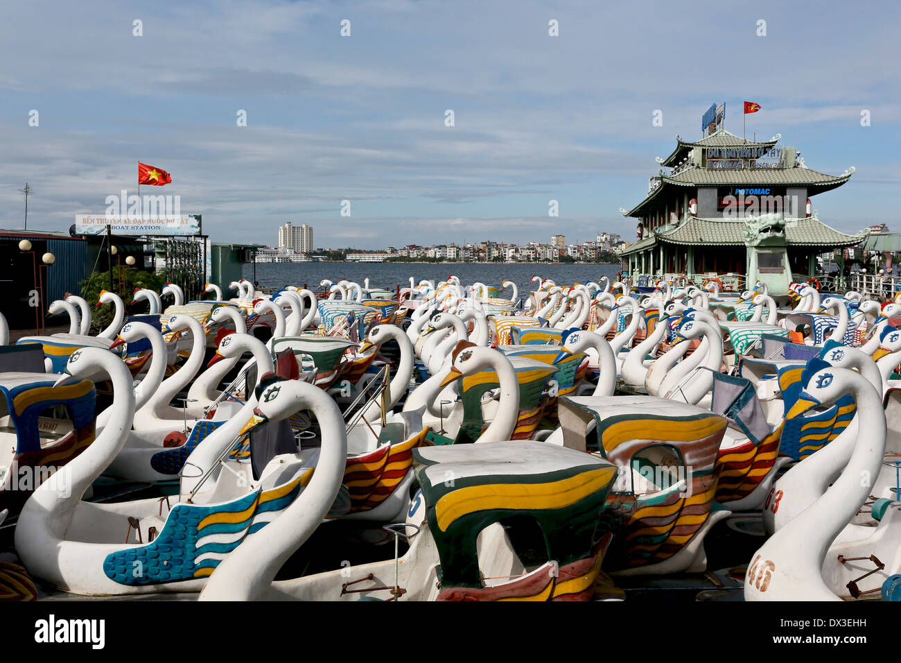 Pédalos en forme de cygne attendent les touristes au lac de l'Ouest (Ho Tay), Hanoi, Vietnam, Asie du sud-est Banque D'Images