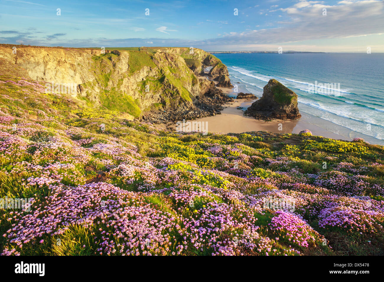 Au printemps Bedruthan Steps sur la côte nord de Cornwall Banque D'Images
