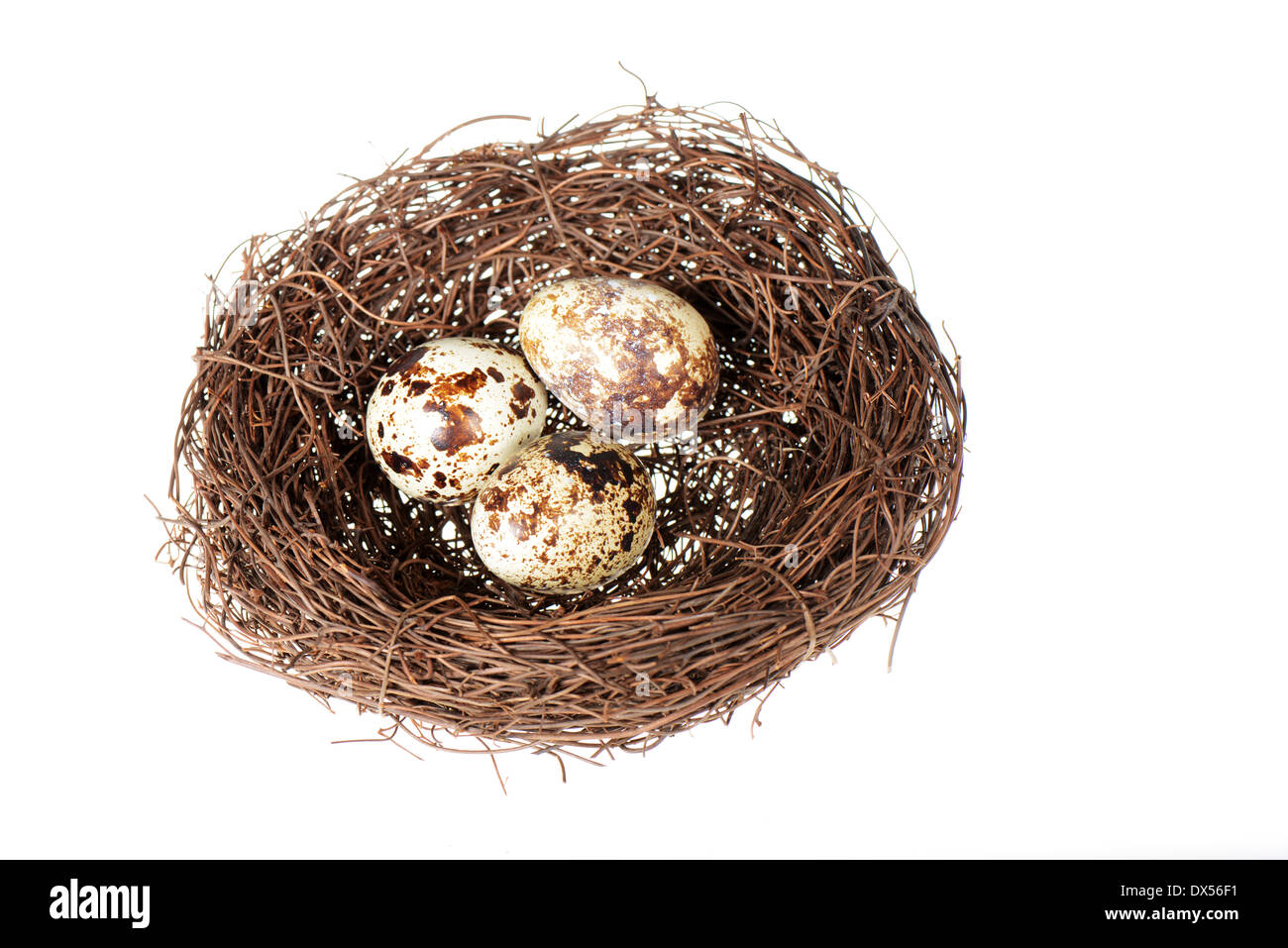 Bird's Nest avec trois oeufs de cailles à l'intérieur isolé sur fond blanc Banque D'Images