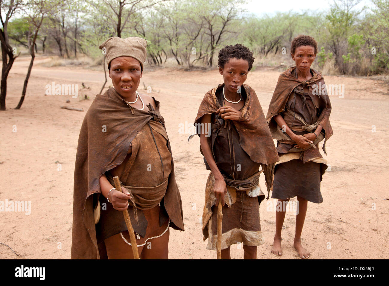 San Ou Bushmen Les Femmes En Costume Traditionnel Ghanzi Botswana Photo Stock Alamy
