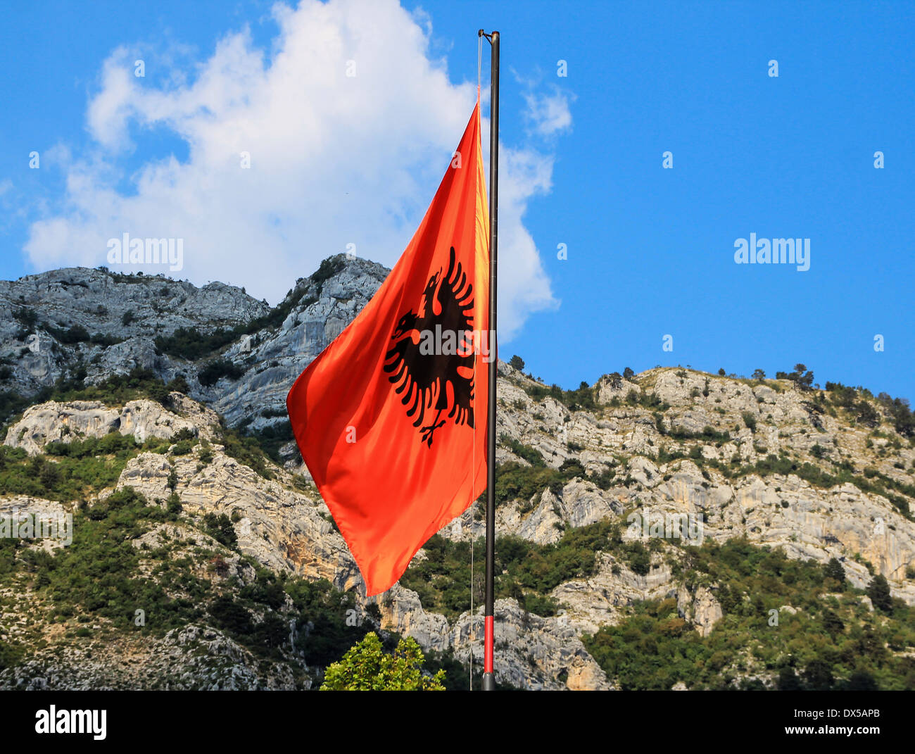 Aprender acerca 46+ imagen drapeau aigle noir fond rouge fr.thptnganamst.edu.vn