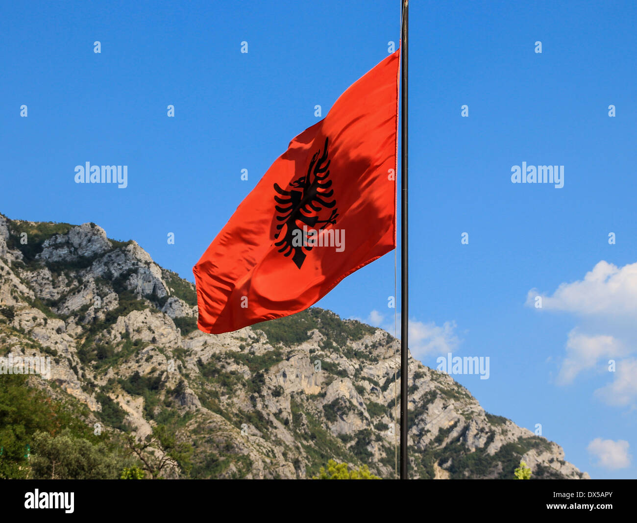 Aprender acerca 46+ imagen drapeau aigle noir fond rouge fr.thptnganamst.edu.vn