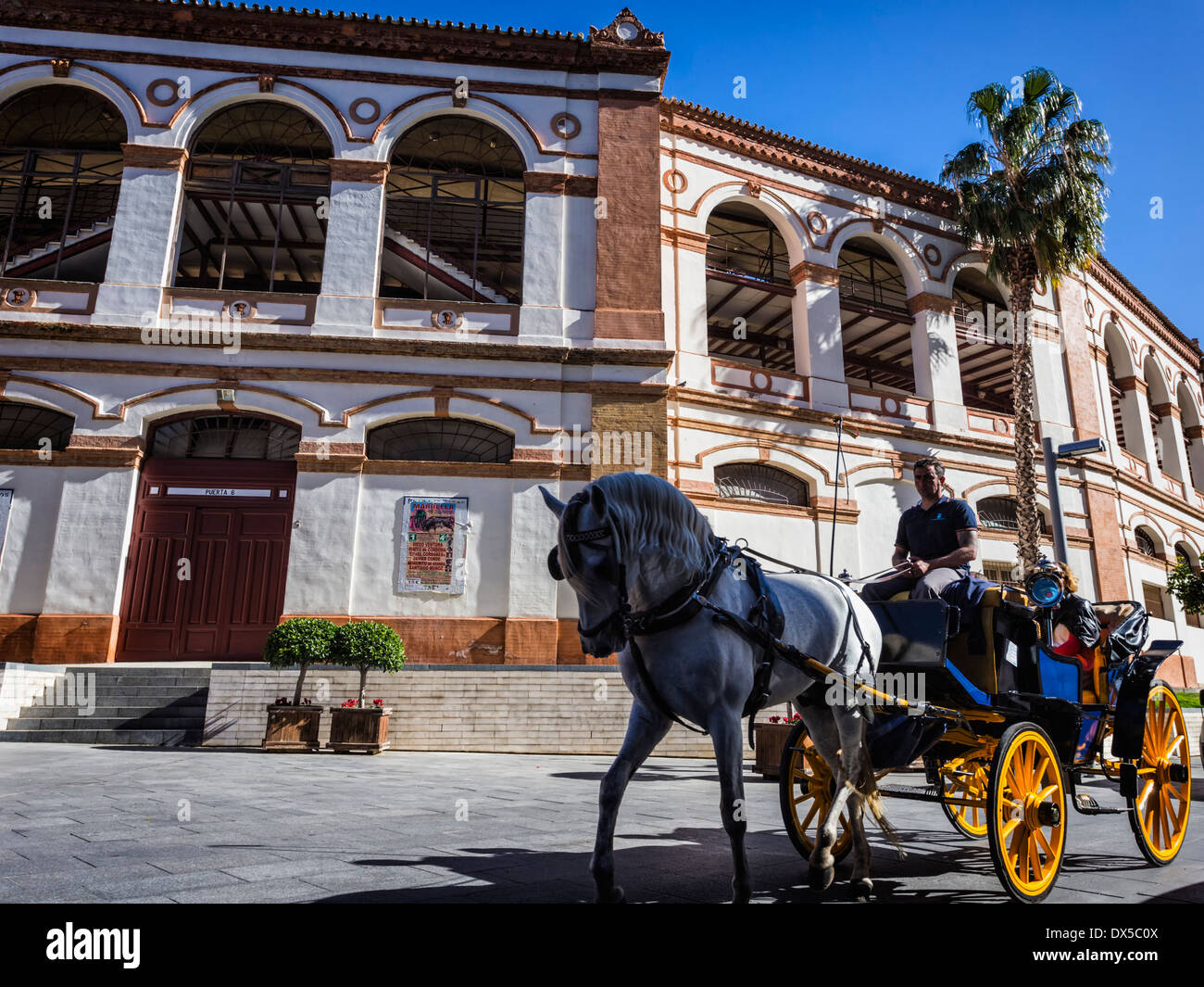 La calèche devant les Arènes de Malaga, Andalousie, espagne. Banque D'Images