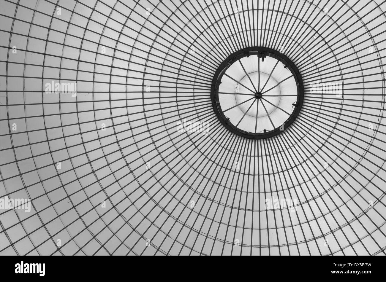 Le toit de l'Kibble Palace dans le Jardin botanique de Glasgow, Ecosse Banque D'Images