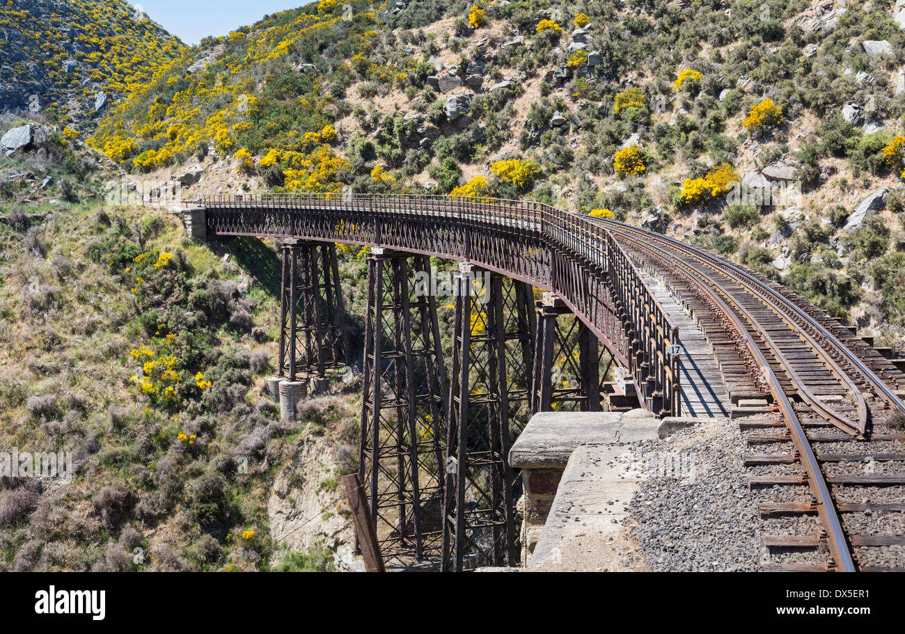 La voie de chemin de fer Taieri Gorge, Nouvelle-Zélande traverse un pont à travers un ravin Banque D'Images
