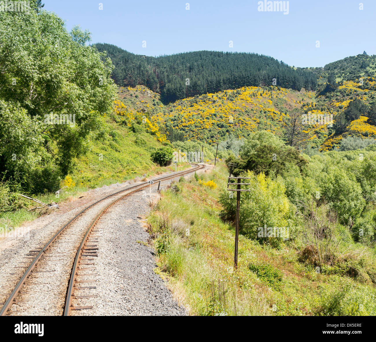 La voie de chemin de fer touristique Taieri Gorge courbes de piste à travers la forêt sur son voyage en haut de la vallée, Nouvelle-Zélande Banque D'Images