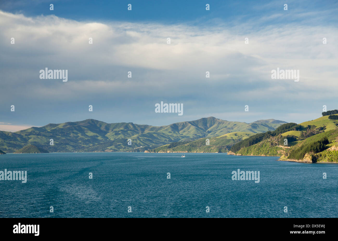 Le port d'Akaroa Christchurch sur la côte près de l'île du Sud, Nouvelle-Zélande Banque D'Images