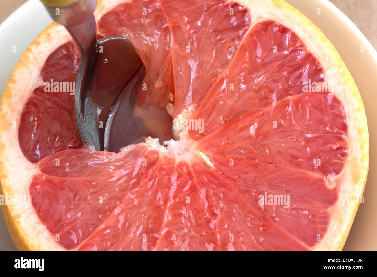 Fermer voir d'une moitié de pamplemousse rouge dans un bol avec une cuillère insérée dans la pulpe. Banque D'Images