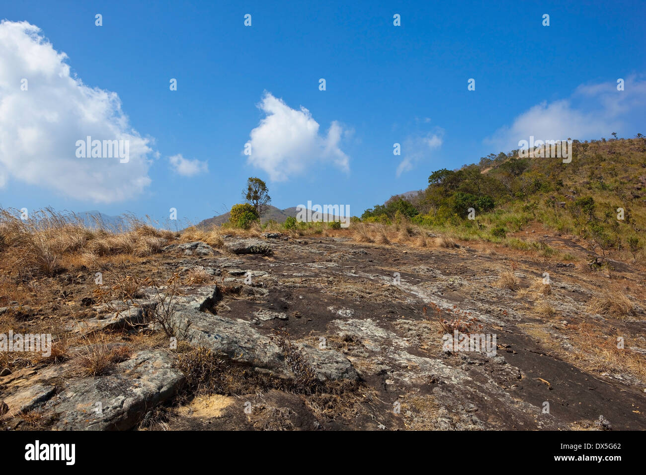 Paysage rocheux du Nilgiri Hills près de Kodaikanal dans le Tamil Nadu, Inde du Sud, Banque D'Images