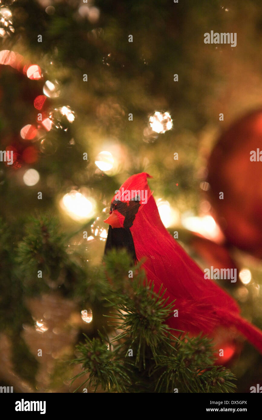 Le cardinal rouge ornement oiseau dans l'arbre de Noël illuminé, Close up Banque D'Images