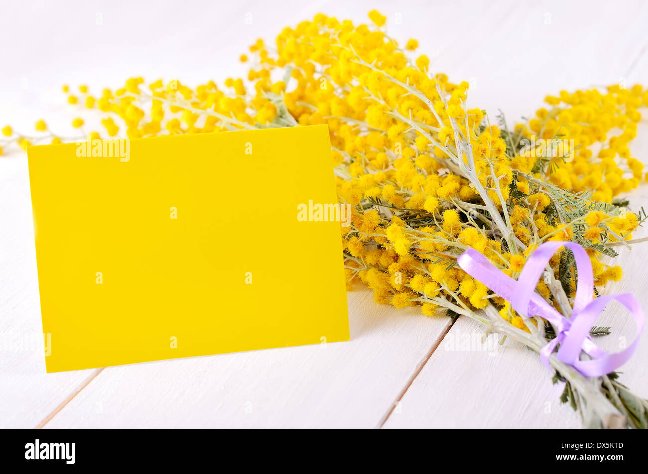 Carte vide avec mimosa, sur fond de bois blanc Banque D'Images