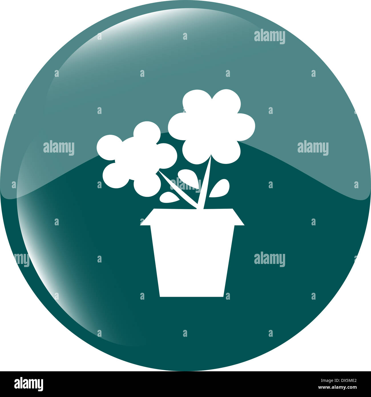 Bouton fleur pour site Web ou web app isolated on white Banque D'Images