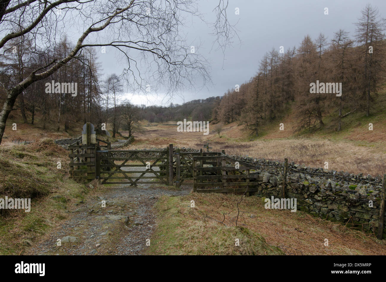 Cold Lake District scenery. Une porte sur un chemin permet d'aller au-delà d'un mur en pierre sèche sur le noir est tombé Banque D'Images