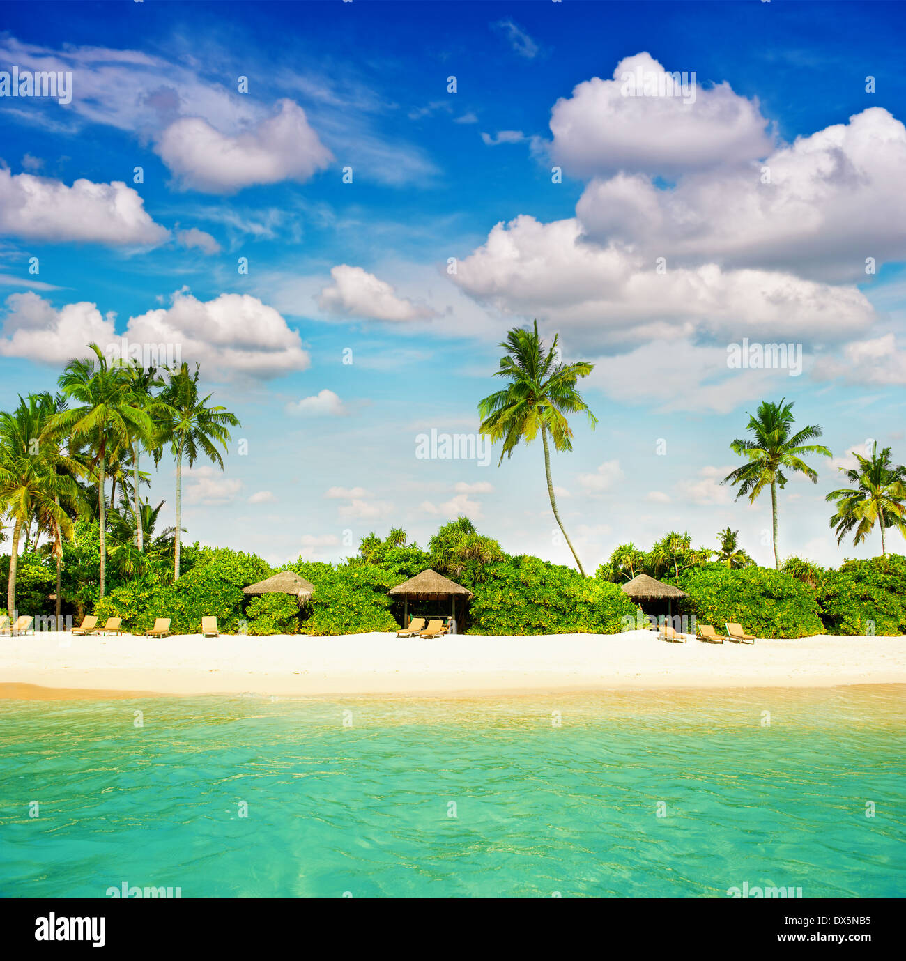 Plage tropicale avec palmiers et ciel bleu parfait paysage Paradise Island. Banque D'Images