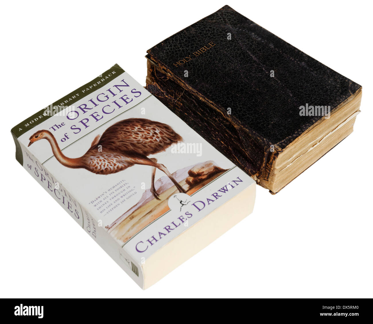 L'origine des espèces par Charles Darwin et la bible Banque D'Images