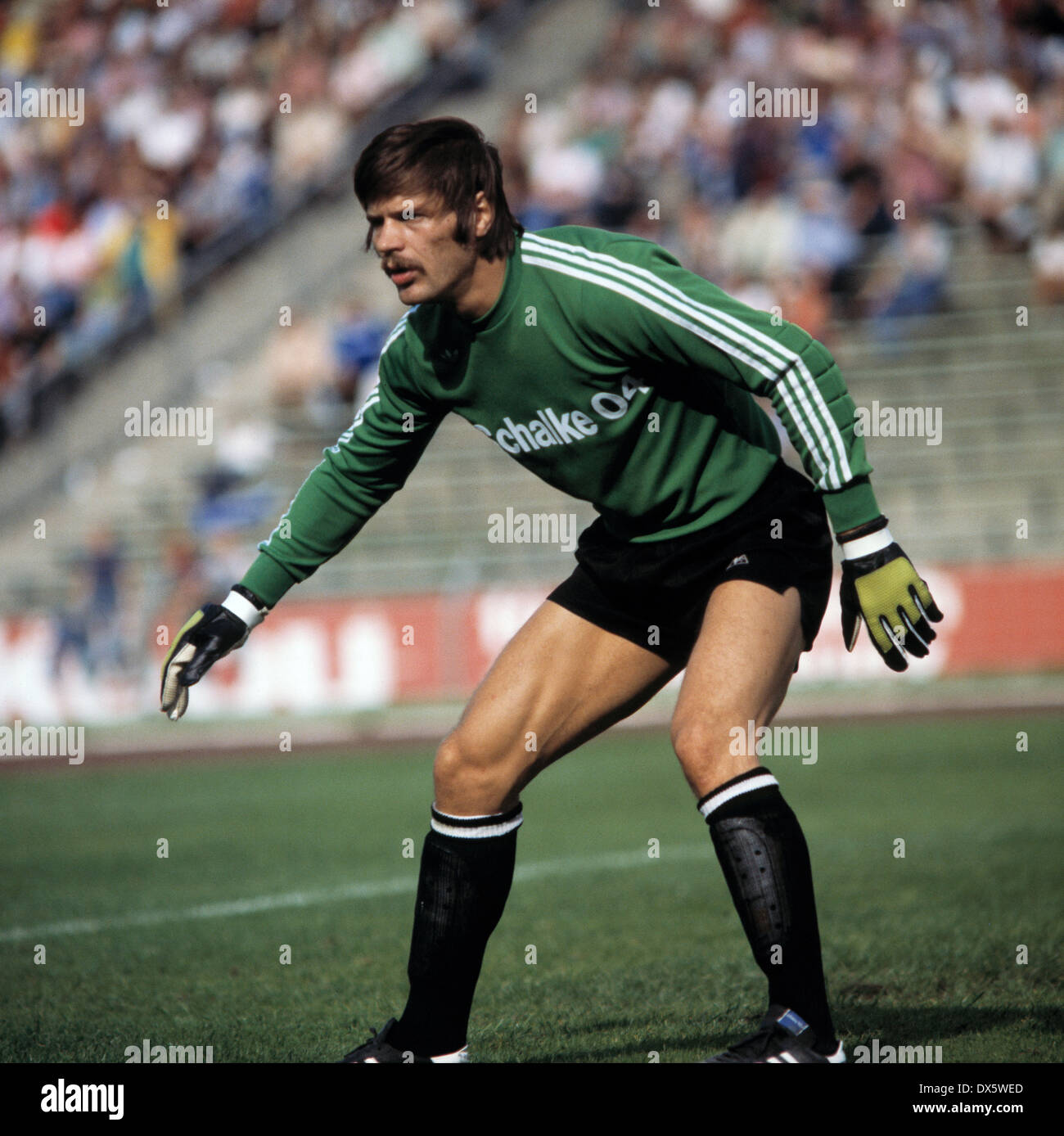 Erwin Hadewicz - Stats et palmarès - 25/26