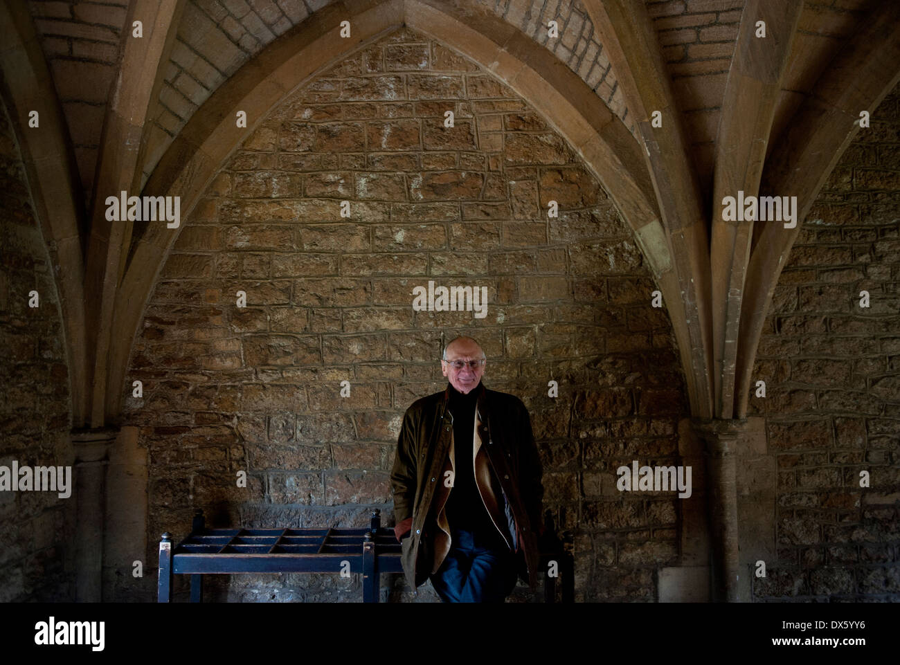 Ohn Carey, critique littéraire et professeur Merton émérite de littérature anglaise à l'Université d'Oxford. Février 2014 Banque D'Images