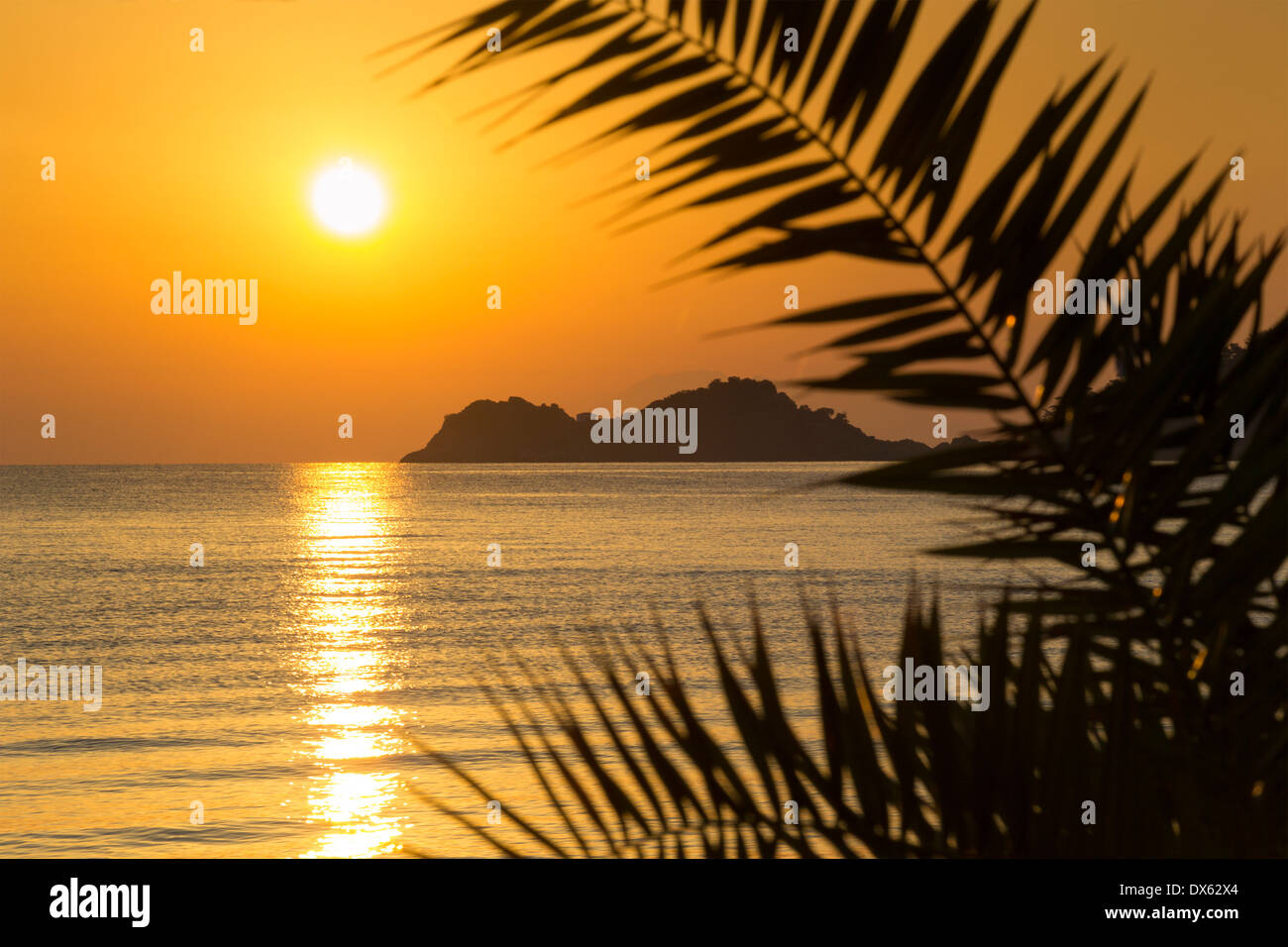 Magnifique lever de soleil sur une île grecque encadrée par des feuilles de palmier de silhouettes. Banque D'Images