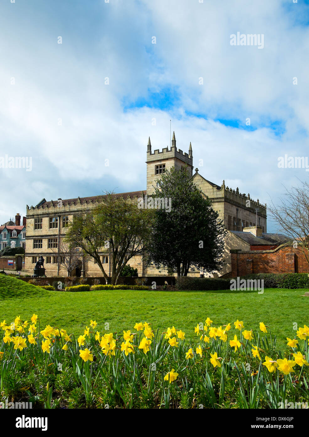 Bibliothèque de Shrewsbury avec jonquilles printemps, Shropshire, Angleterre Banque D'Images