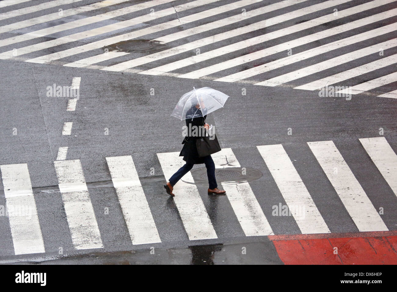 Personnes porteuses de parapluies dans la pluie marchant sur le passage piéton de Shibuya, Tokyo, Japon Banque D'Images