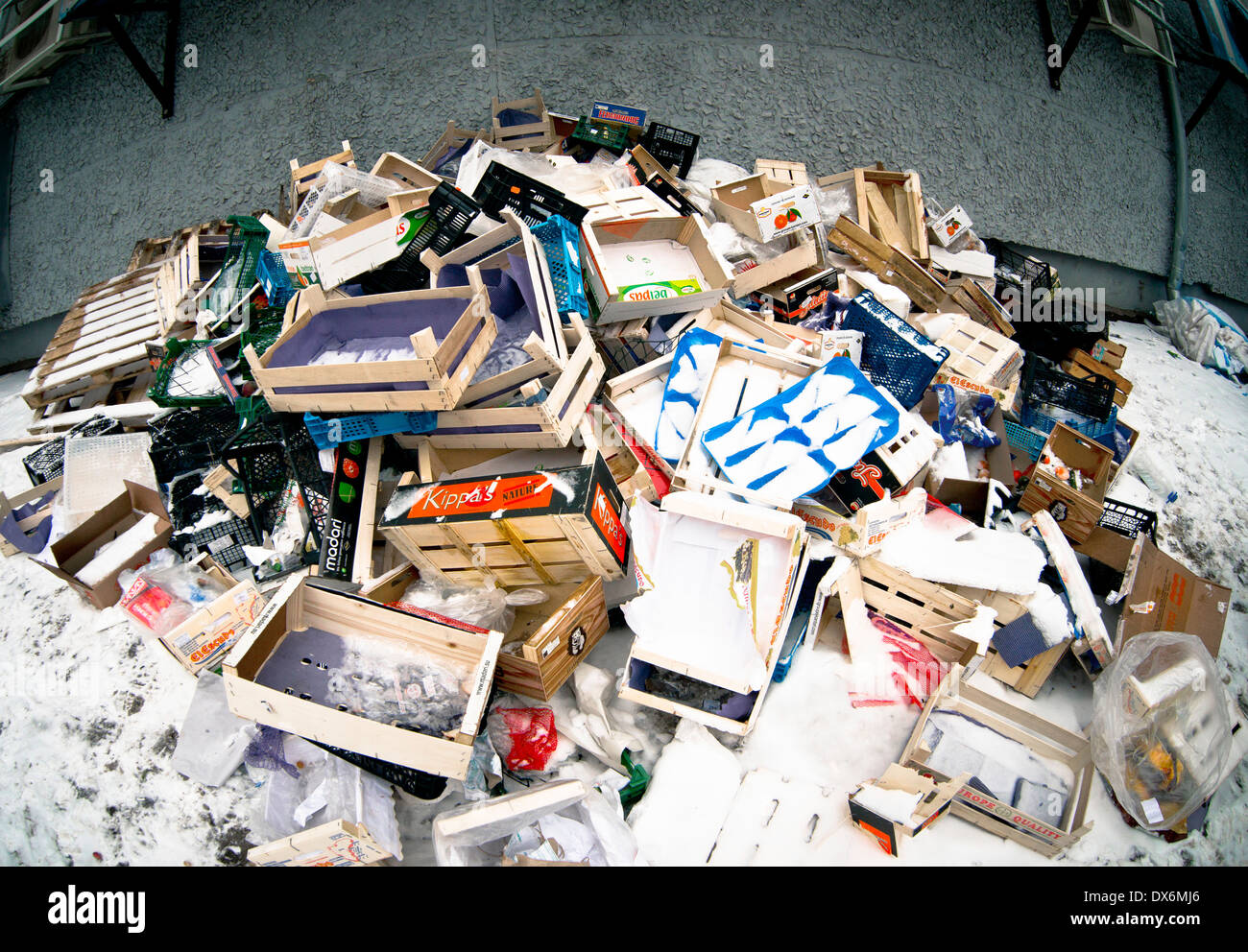 tare bois Banque D'Images