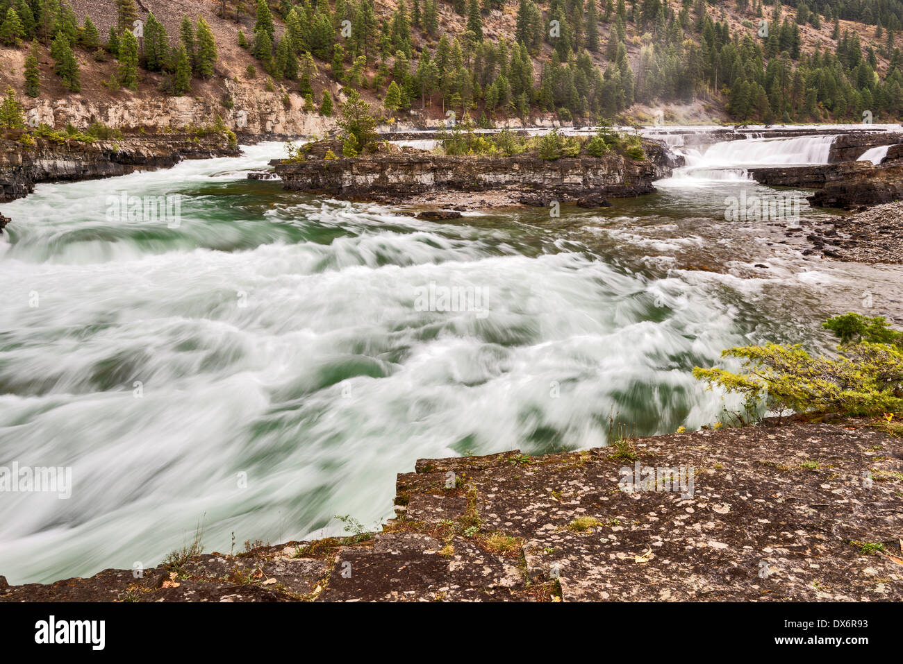 Kootenai Falls sur la rivière Kootenai, forêt nationale de Kootenai, près de Libby, Montana, USA Banque D'Images