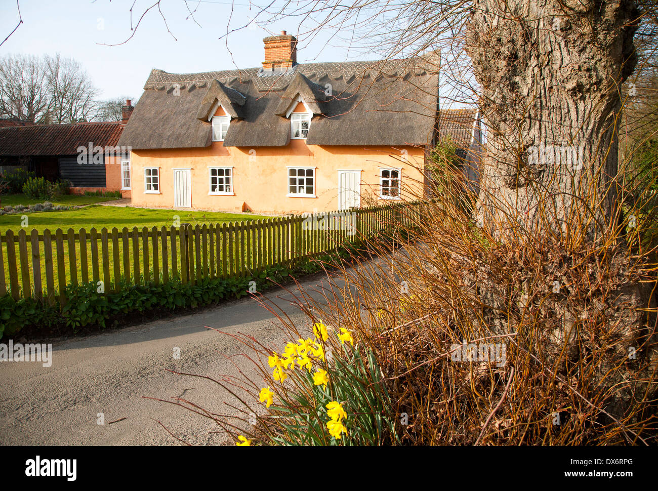 Jolie couleur ocre chaumière historique dans le village de Ufford, Suffolk, Angleterre Banque D'Images