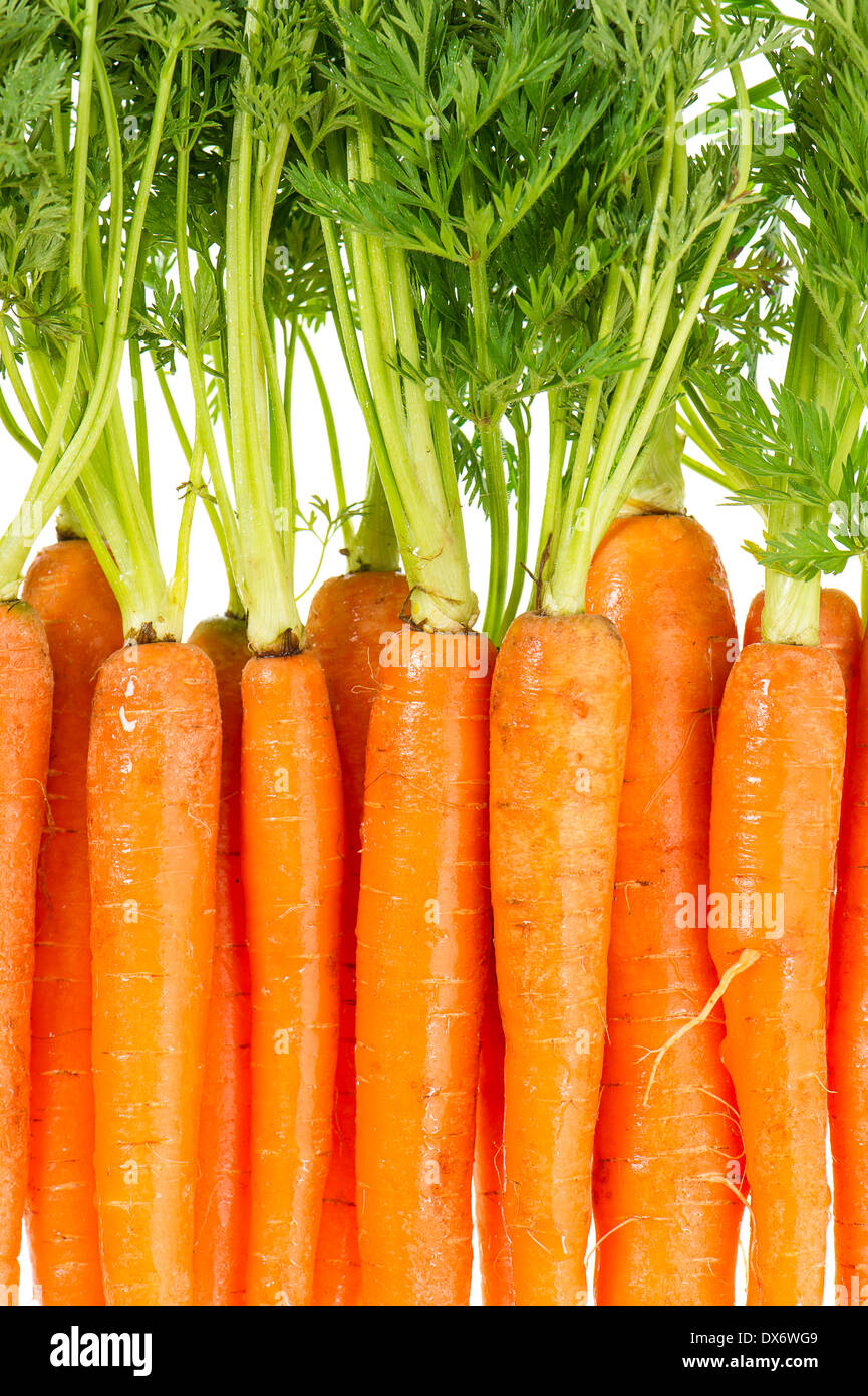 Botte de carottes fraîches avec des feuilles vertes sur fond blanc. Légume. L'alimentation. Focus Selctive Banque D'Images