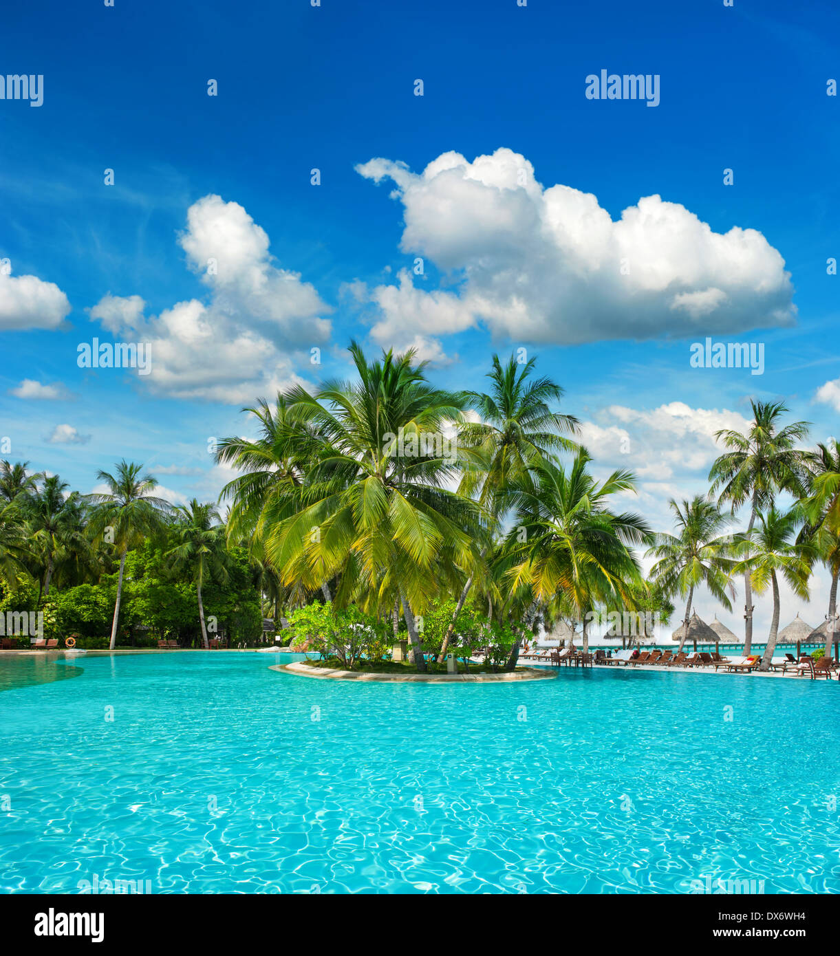 Piscine extérieure entourée de plantes tropicales luxuriantes et de palmiers sur blue cloudy sky Banque D'Images