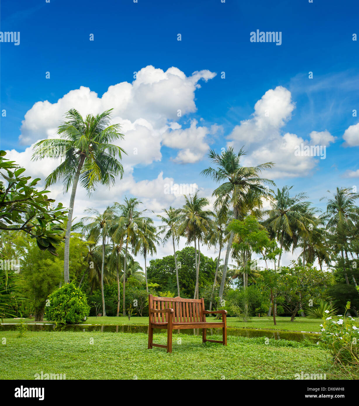 Magnifique jardin tropical avec des palmiers et de banc de parc plus nuageux ciel bleu Banque D'Images