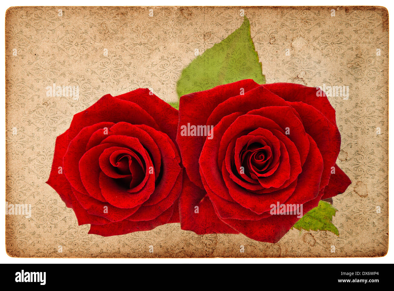 Carte vintage grunge paper board avec roses rouges Banque D'Images