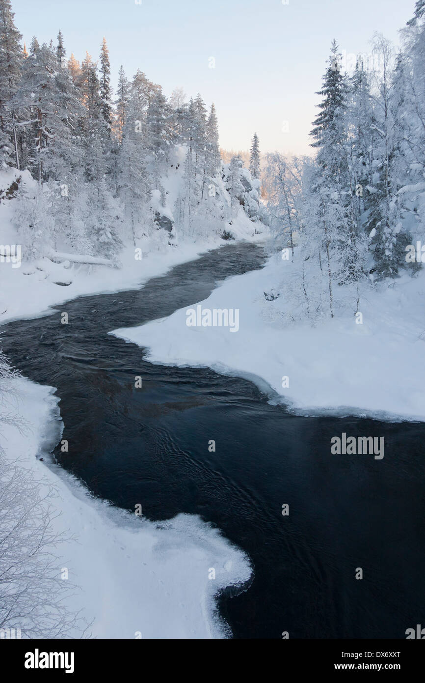 Rivière Noire en blanc la forêt enneigée au winter Banque D'Images