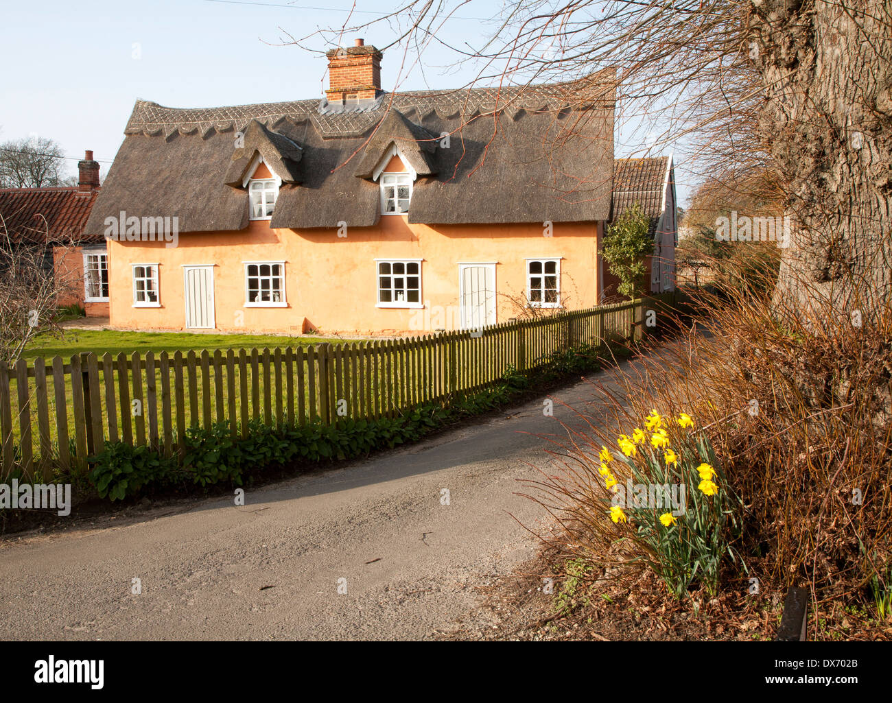 Jolie couleur ocre chaumière historique dans le village de Ufford, Suffolk, Angleterre Banque D'Images