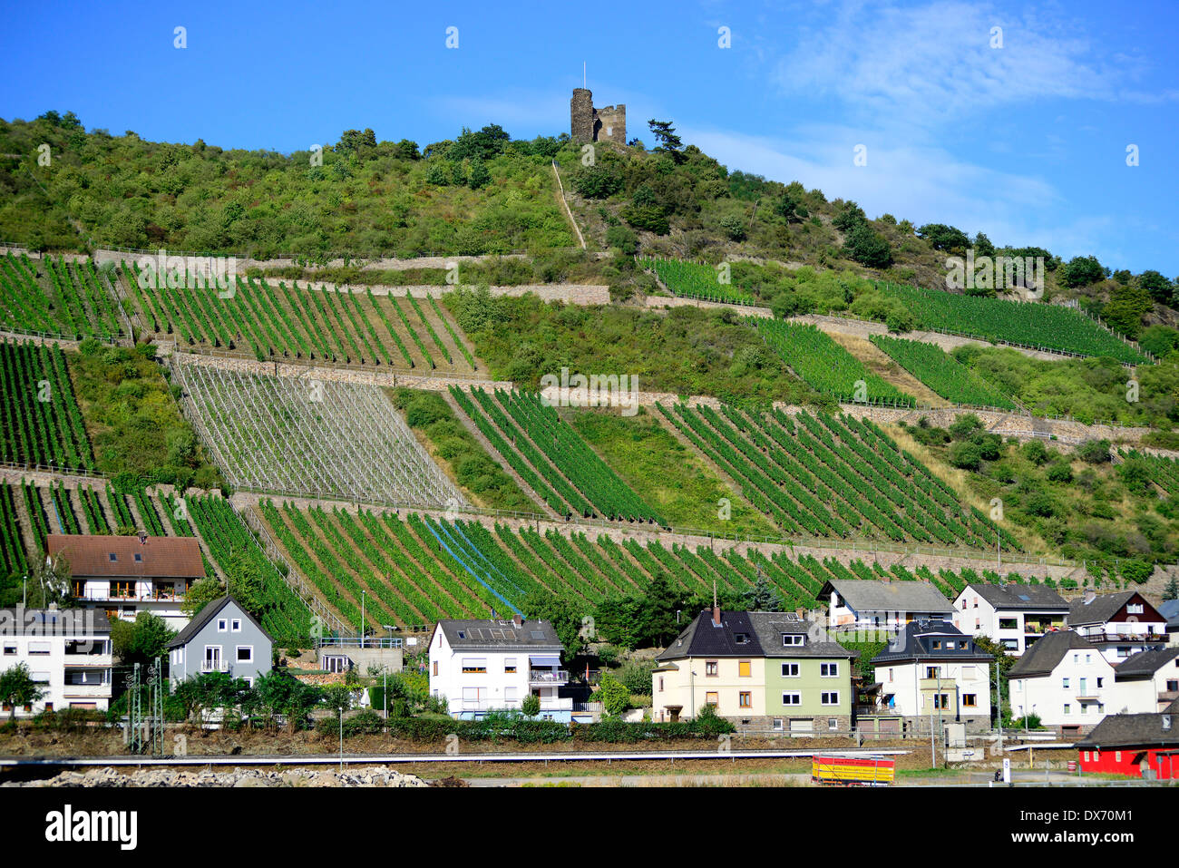 La ville sur la vallée de la rivière du Rhin Allemagne Europe Vignobles VIGNOBLES DE CROISIÈRE Banque D'Images