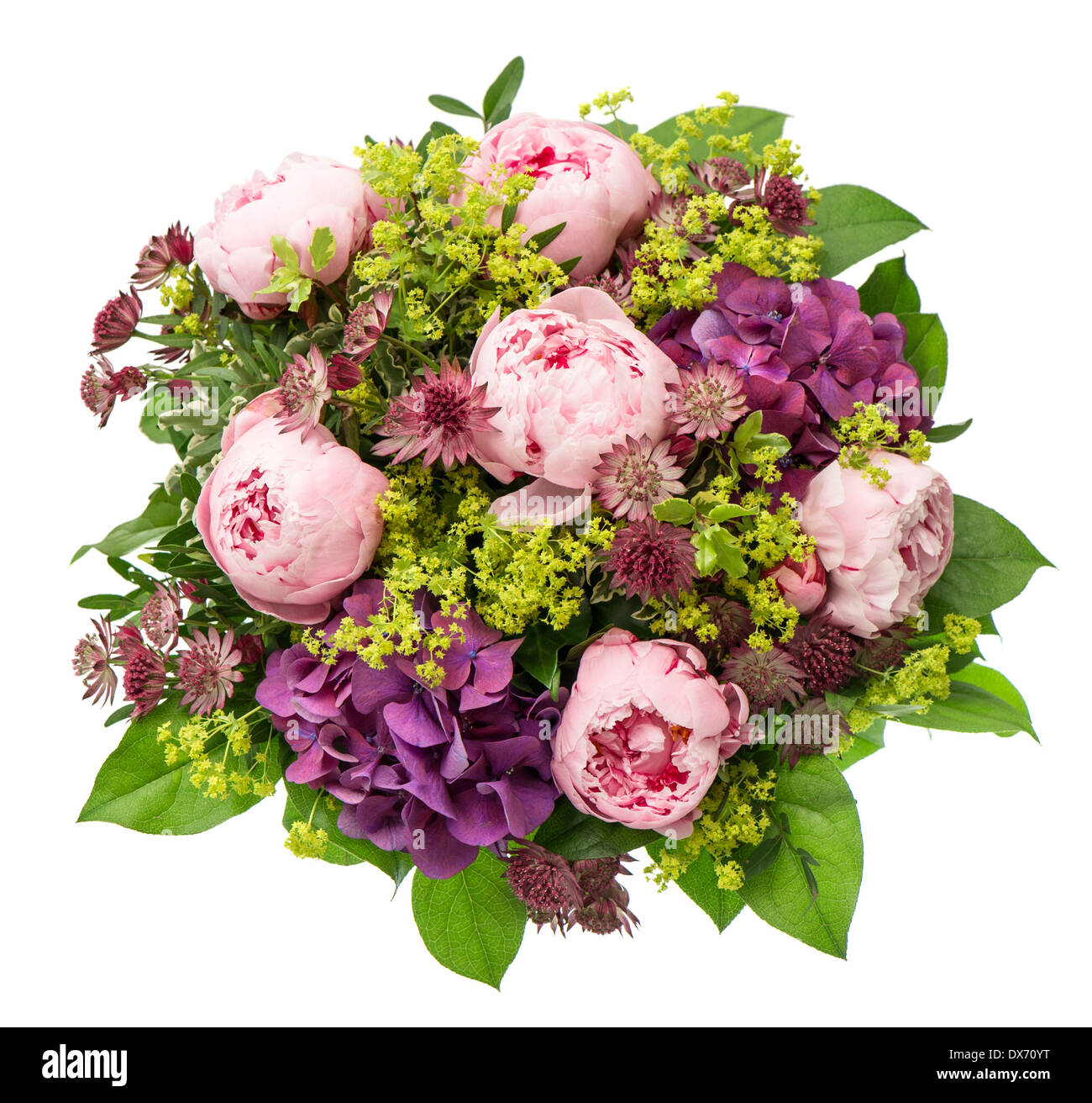 Bouquet de belles fleurs de pivoine rose sur fond blanc arrangement de fête. Banque D'Images