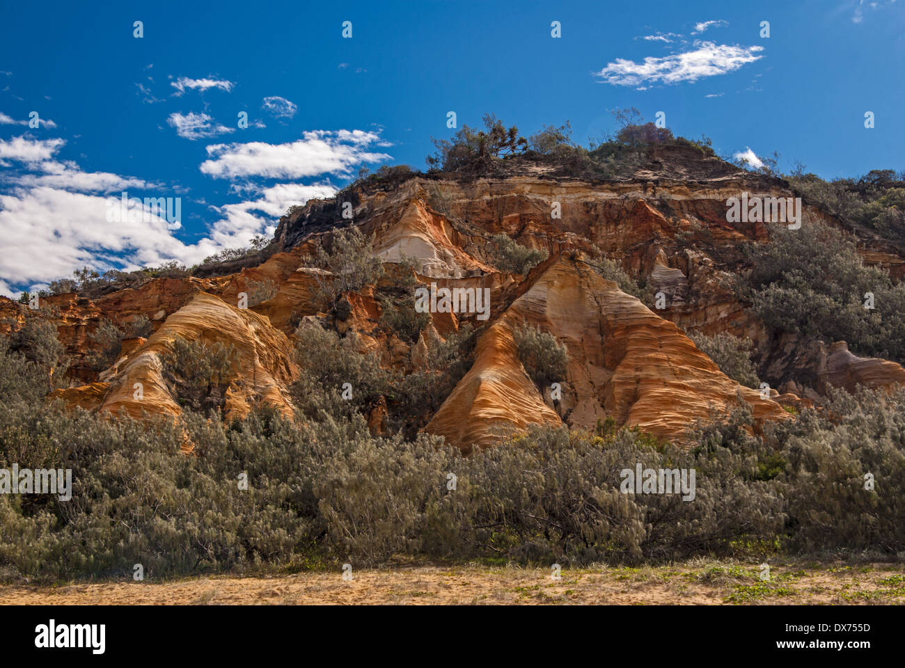 Les PINNACLES, FRASER ISLAND, Queensland, Australie Banque D'Images