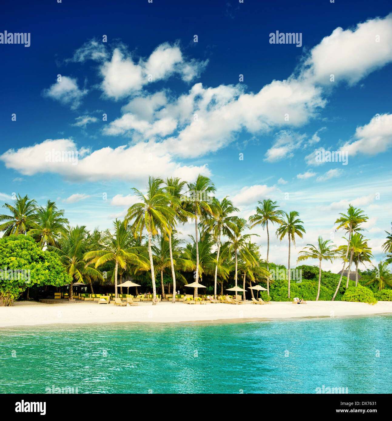 Plage de l'île tropicale avec perfect blue sky Paradise Island. Banque D'Images