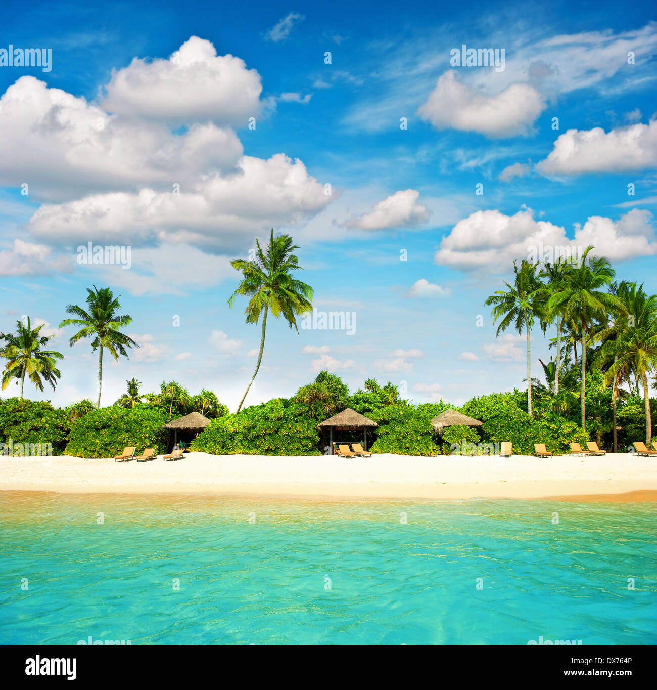 Plage de l'île tropicale avec perfect blue sky. Paradise Island avec palm treas Banque D'Images